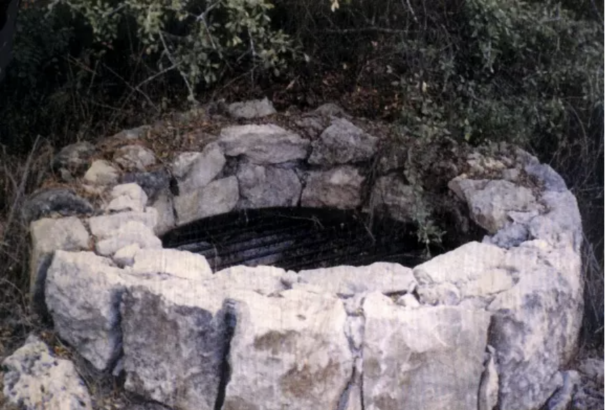 Operation Cast Thy Bread: Poisoning of Palestinian Wells